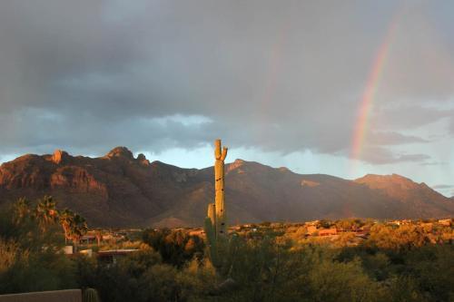 Catalina Foothills