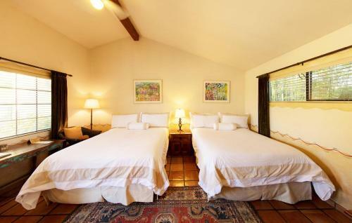 Hotel Blue Iguana Inn