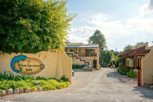 Hotel Blue Iguana Inn