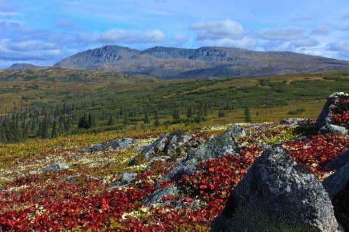 Caribou Lodge Alaska