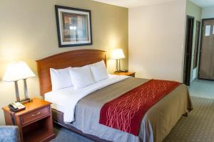 Hotel Comfort Inn Hastings