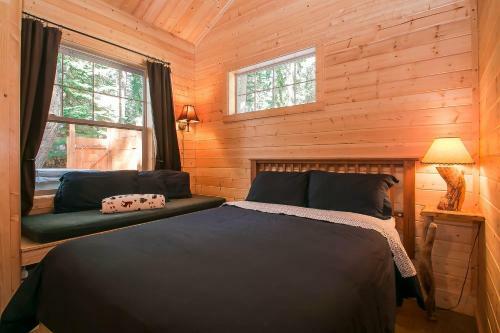 Painted Pony Cabin