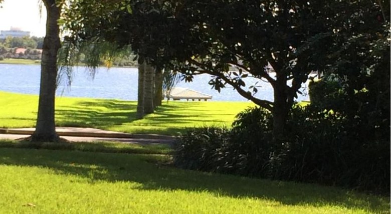 Affordable Orlando Villa Rentals