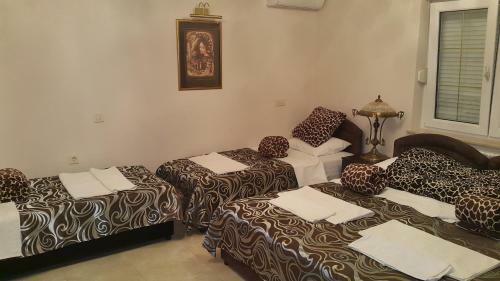 Hostal Akva Gold Guest House