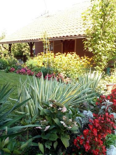 Hostal Guest House Isidora