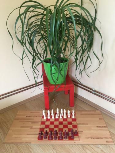 Apartamento Zvezdica