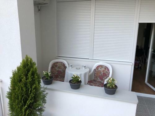 Apartman Jezdi?