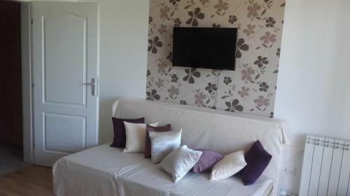 Apartment Ziz