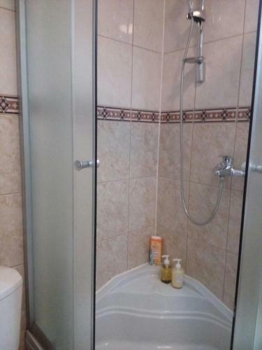 Apartment Draga