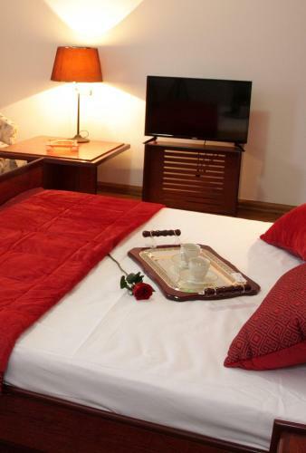 Villa Vila Banjska Ru?a