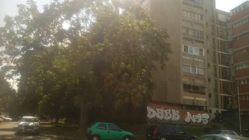 Marko's Apartment