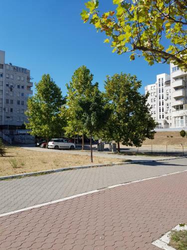 Impulse Apartment