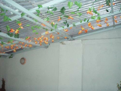 Apartamento Pedestrian Nest