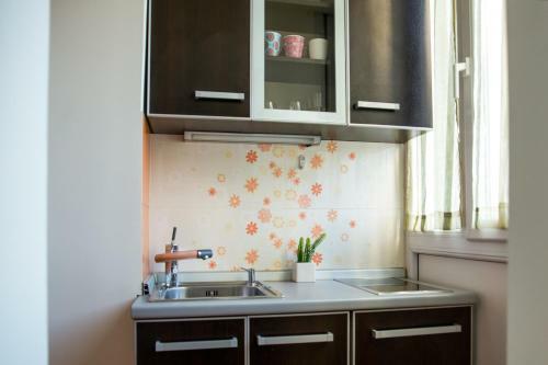 Centro Apartment Kalemegdan