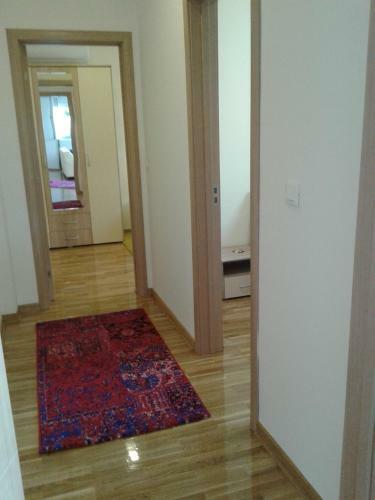 Shumice Apartment