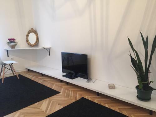 Bright Apartment Central