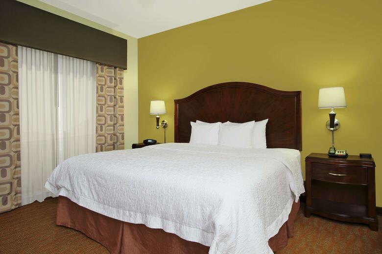 Hotel Hampton Inn & Suites Conroe I 45 North