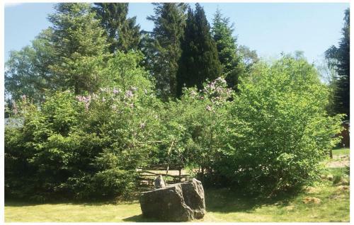 Holiday Home Regnb�gsv�gen �rkelljunga III