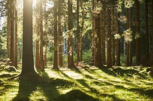 Isaberg Mountain Resort