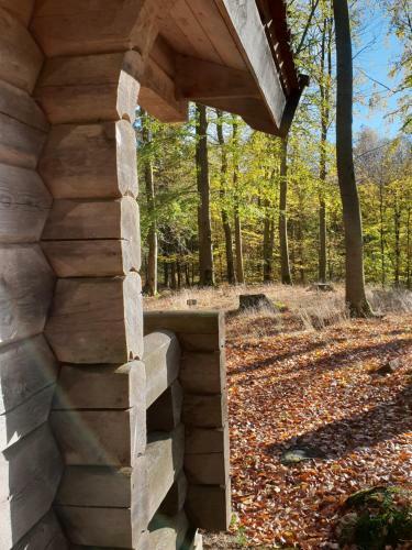 Lodge Bokebacken