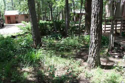 Northwoods Resort Cabins