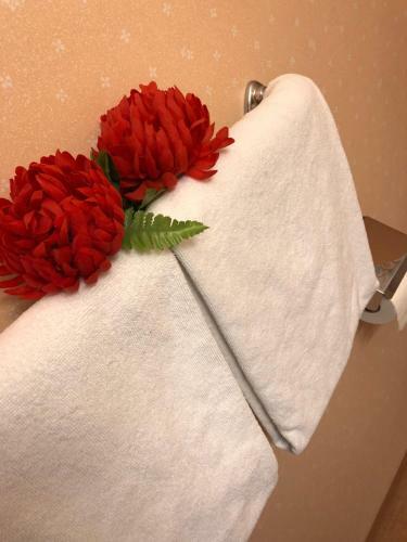 Hotell Bj�rnidet