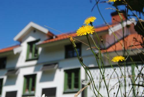 Tingvall B&B Eco-lodge