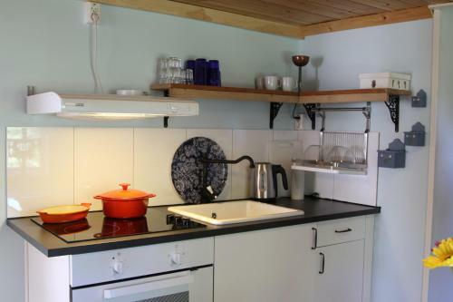 Lodge Kolm�rdstorpet Bloms�tter