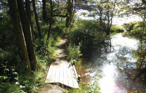 Holiday Home Borrby *xcvii *