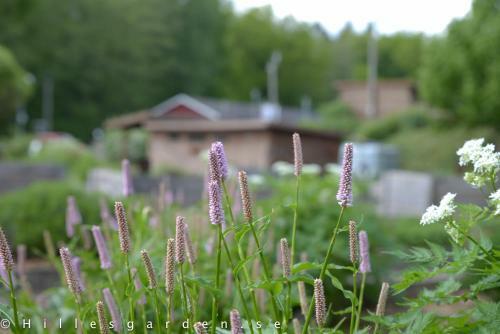 Hotel Hillesg�rden