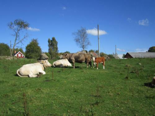 Lodge Bj�rksebo