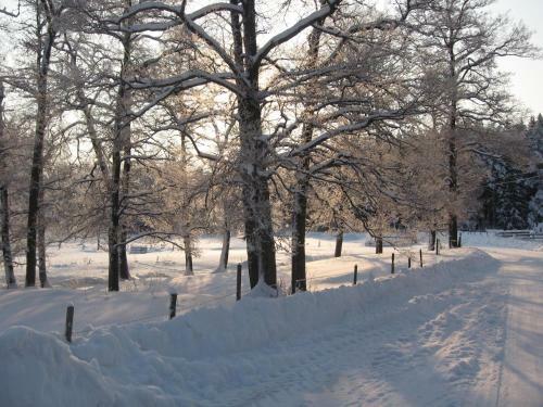 Lilla Hult B&B