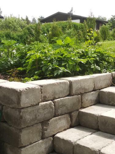 Apartamento �vernattningsl�genhet