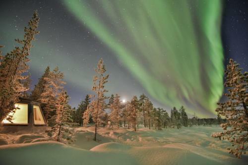 Hotel Pinetree Lodge