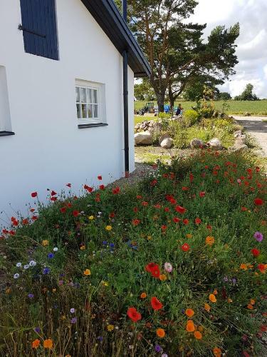 Hotel B�stekille G�rdshotell