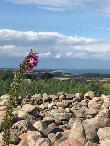 Hotel B�stekille G�rdshotell