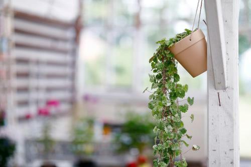 Hotel Kilafors Herrg�rd