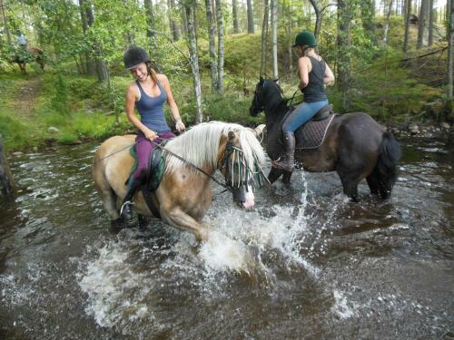 Bed & Breakfast G�strum Gnottnehult