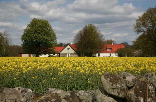 Apartamento Stenrosg�rden