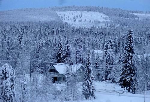 Agroturismo Lapland Snow Cabin