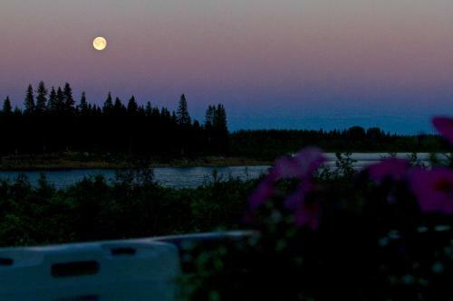 Hostal Lapland Guesthouse
