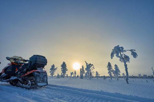 Hostal Lapland Guesthouse