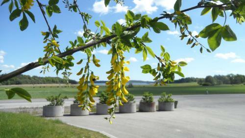 Albergue H�kn�s Vandrarhem