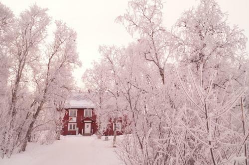 Abisko Net Hostel & Huskies
