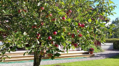 Bed & Breakfast Strindbergs G�rd