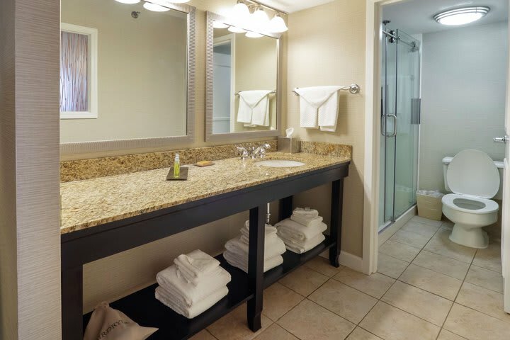 Hotel Doubletree By Hilton Buffalo-amherst