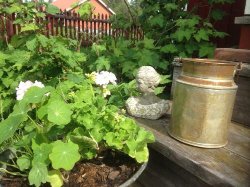 Albergue Mora Vandrarhem Och G�sthem