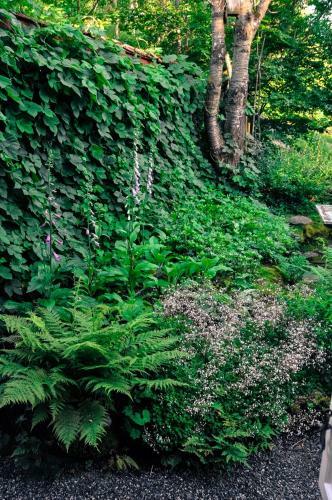 H�kesg�rd Garden B&B
