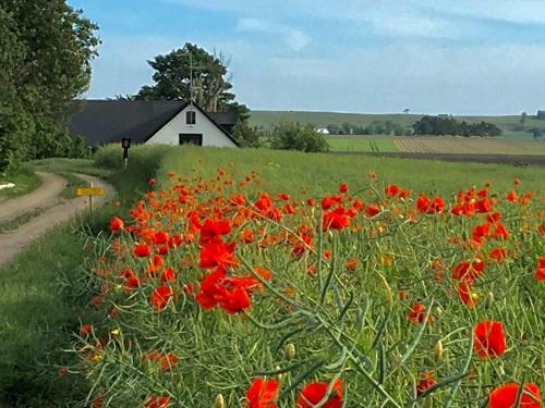 Agroturismo Wing�rdhs B&B �sterlen