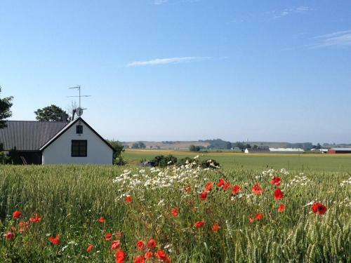Agroturismo Wing�rdhs B&B �sterlen